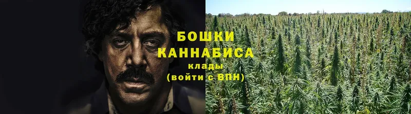 Каннабис индика  купить  цена  Кольчугино 